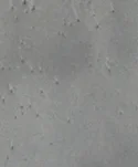 epoxy floor installers near me Missouri City, TX
